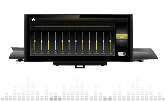 Professional DSP digital sound effect