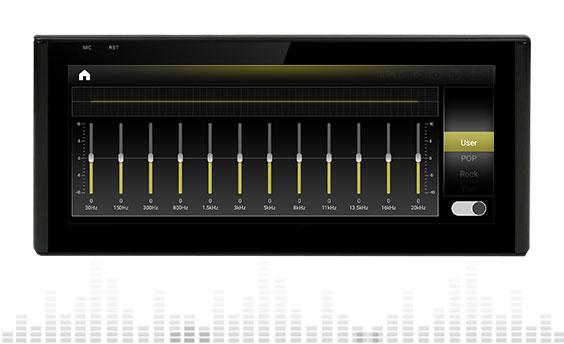 Professional DSP digital sound effect