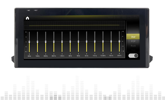 Professional DSP digital sound effect